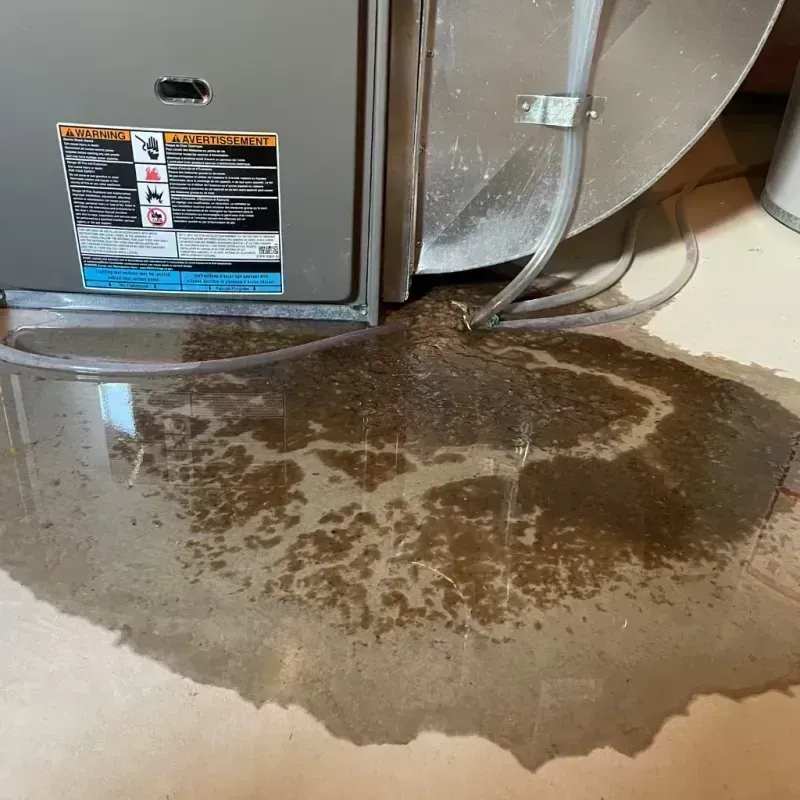 Appliance Leak Cleanup in Hickory Hills, IL